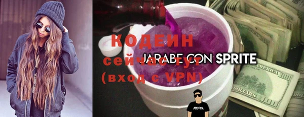 спиды Мегион